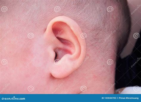 Newborn Baby Ear Stock Image Image Of Person Skin