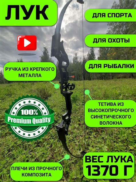 Лук для стрельбы стрелами взрослый спортивный с съемным прицелом и ...