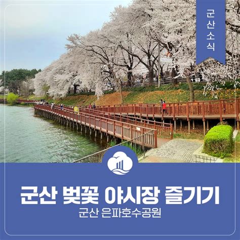 군산 은파호수공원 벚꽃 야시장 구경오세요 ~416 전라북도 군산시 웰로