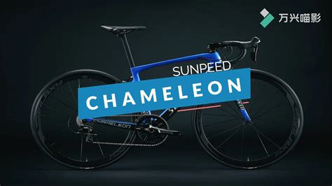 Sunpeed Fashion Sport Carbon Road Bike - Buy 700c Sport Bike,Cycling ...