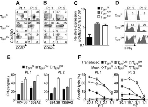 Effector Cells Derived From Naive Precursors Manifest Less Acquisition