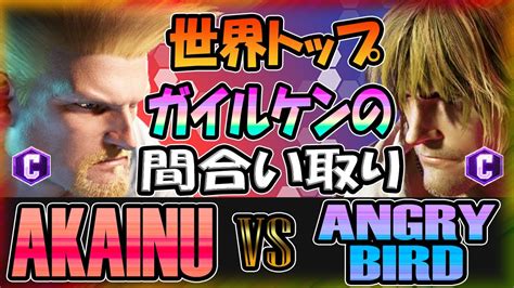 スト6 アカイヌ Akainu ガイル Guile Vs アングリーバード Angrybird ケン Ken Street