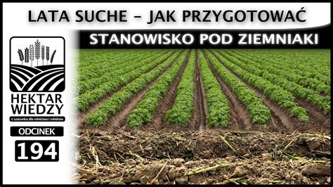 LATA SUCHE JAK PRZYGOTOWAĆ STANOWISKO POD ZIEMNIAKI ODCINEK 194