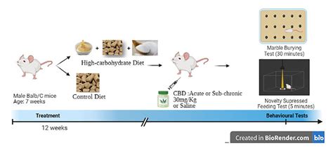 Experimental Scheme Week Old Male Balb C Mice Were Divided Into