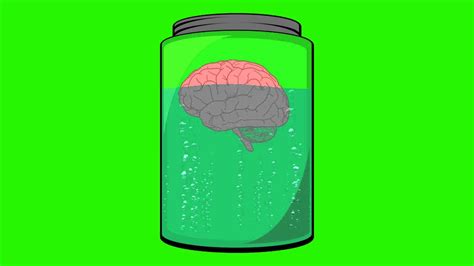 Brain In A Jar Cartoon Royalty Free Stock Footage Youtube