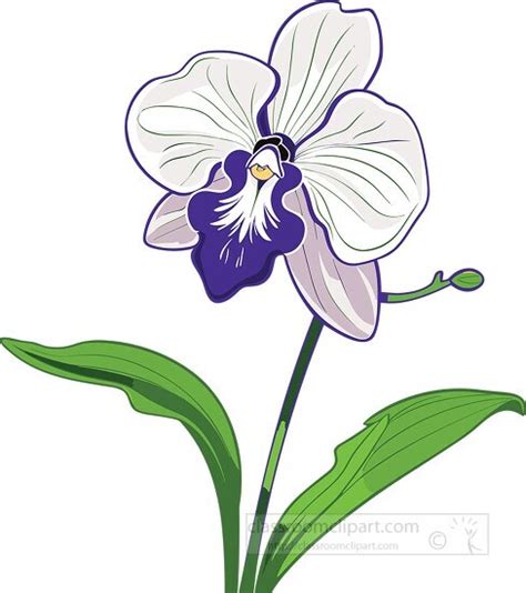 Flower Clipart-white purple orchid flower with leaves