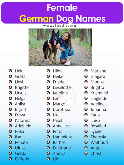 500+ Popular German Dog Names (Pups, Male, Female) - EngDic