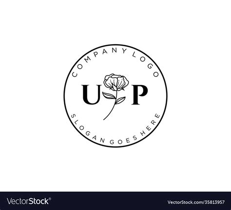 Initial Up Letters Botanical Feminine Logo Vector Image