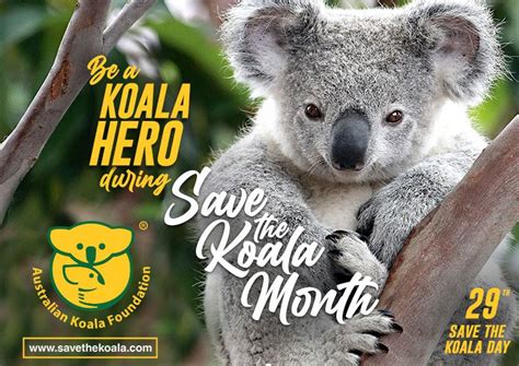 Save The Koala Day Aaee Sa Chapter