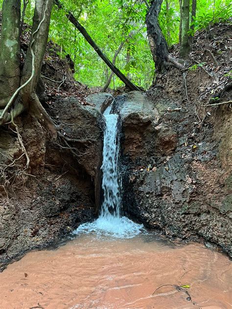 Fazenda A Venda Em Mato Do Sul Fazendas Mato Grosso