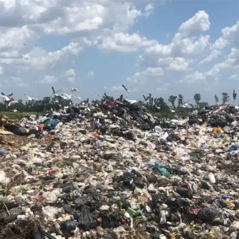 Chascomús Anuncian El Cierre De Un Basural A Cielo Abierto Que Tiene