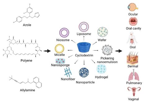 Cd Based Nanocarriers For Antifungal Agents In Drug Delivery Systems