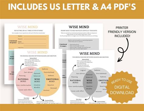 Dbt Worksheet States Of Mind Wise Mind Worksheets Dbt Skills