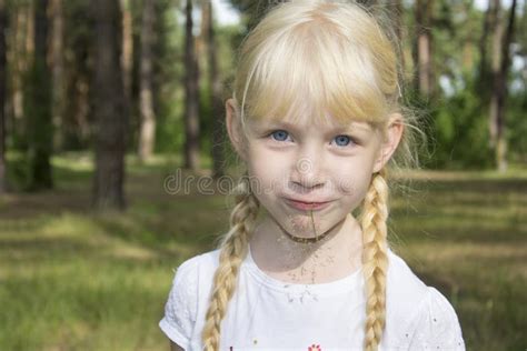 In De Zomer In Het Bos Houdt Het Een Weinig Blonde Meisje Met Vlechten Stock Foto Image Of