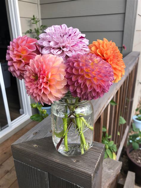 Bouquet of the day : r/dahlias