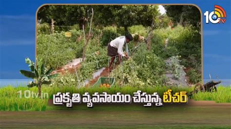 Organic Farming ప్రకృతి వ్యవసాయం చేస్తున్న టీచర్ అంతర పంటల సాగుతో