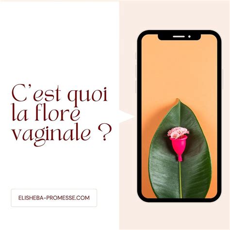 La Flore Vaginale C Est Quoi