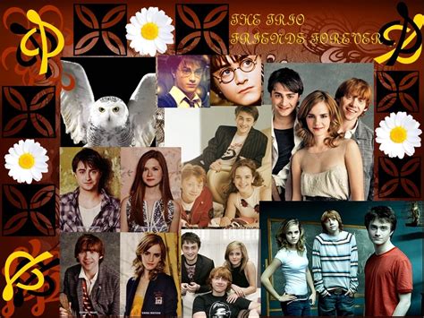 The Trio Harry Potter Wallpaper 13062654 Fanpop