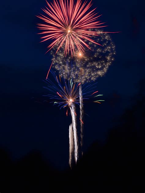 Free Images Night Flower Sparkler Celebration Holiday Freedom