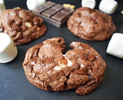 20 Chocolate Fudge Cookie Recipes Starters And Treats