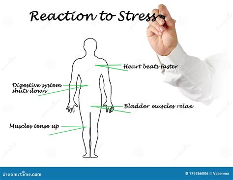 Reaction of People To Stress Stock Photo - Image of heart, tense: 179366806