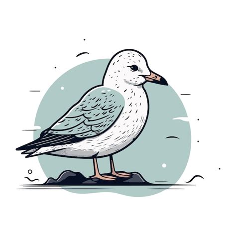 Premium Vector Seagull Hand Drawn Vector Illustration Of A Seagull