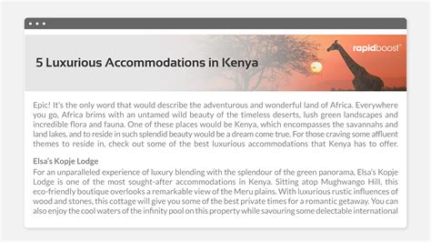 Rapid Boost Marketing - Spacebar