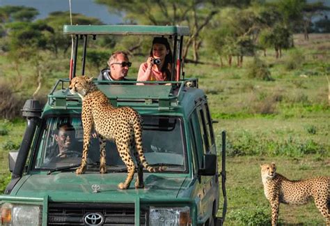 Tour Company In Uganda Rwanda Safari Vacations Travel Services