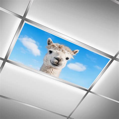 Tratloilx Fluorescent Light Covers for Classrooms & Offices-Improves