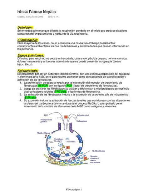 Fibrosis Pulmonar Idiop Tica Emanuel H Mart N Udocz