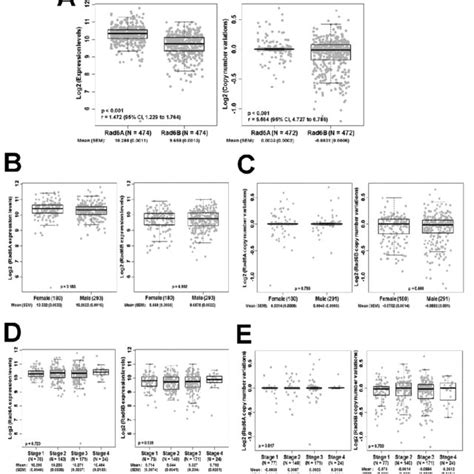 Tcga Analysis Of Rad6a And Rad6b Expression Levels And Copy Number Download Scientific Diagram