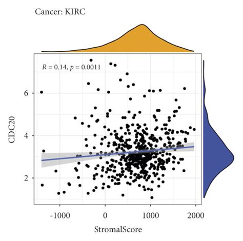 The Relationship Between Cdc20 Immune Infiltration Tumor