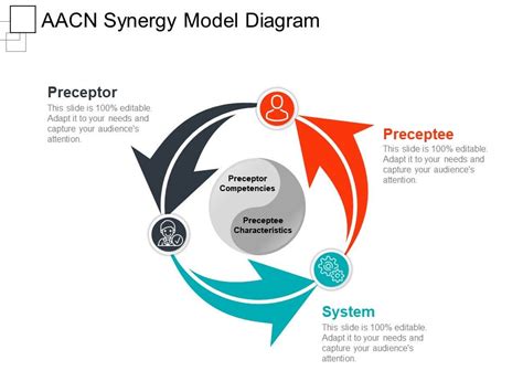 Aacn Synergy Model Diagram Ppt Presentation Powerpoint Presentation