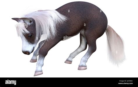 3d Rendering Of A Pony Or A Small Horse Or Equus Ferus Caballus