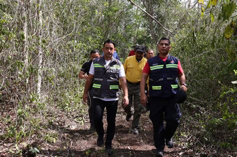 Piden A Cancunenses Prevenir Incendios Forestales Quadratin Quintana Roo