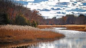Seasonal South Shore scenes