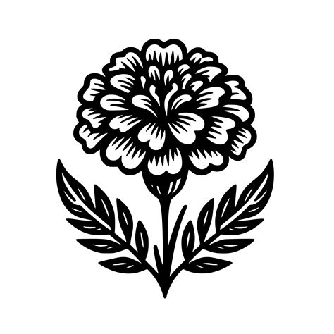 Simple Marigold – Creative Meadow