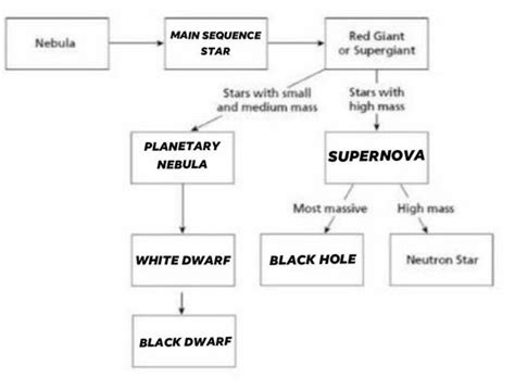 Solved Section Five Graphic Organizer Putting It All Together