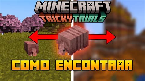 O'que Tatu Come No Minecraft - COMO ENCONTRAR O TATU NO MINECRAFT - YouTube