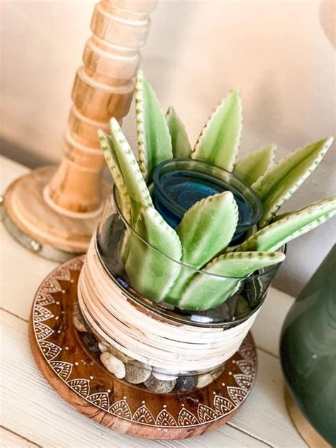 Aloe Vera Warmer In A Glass Dish Scentsy Scentsy Fragrance Scentsy