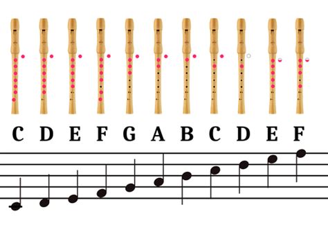 The Recorder - Notes Chart | Teaching Resources