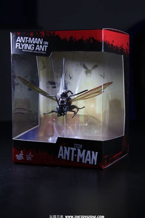 玩具報告 Hot Toys ANT MAN蟻俠蟻俠連飛蟻Anthony迷你Figure Toys Zone D 玩具兄弟 Figures Price List Reviews