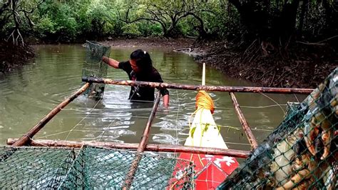 Paglalatag Ng Bubu Trap Sa Ilog Naka Huli Kami Ng Malaking Alimango