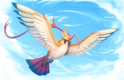 Mega Pidgeot Wallpapers - Wallpaper Cave