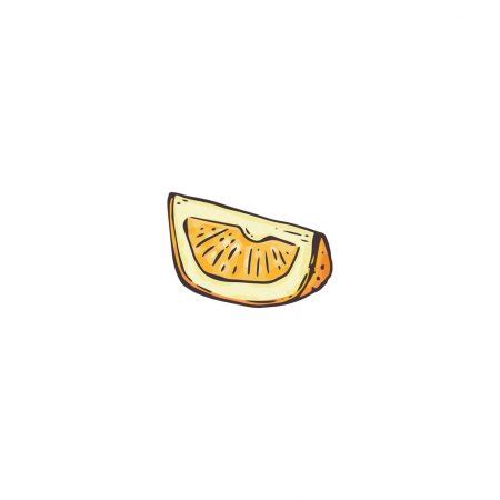 Hand Drawn Slice Of Lemon Isolated Vector Illustration Stock Vector