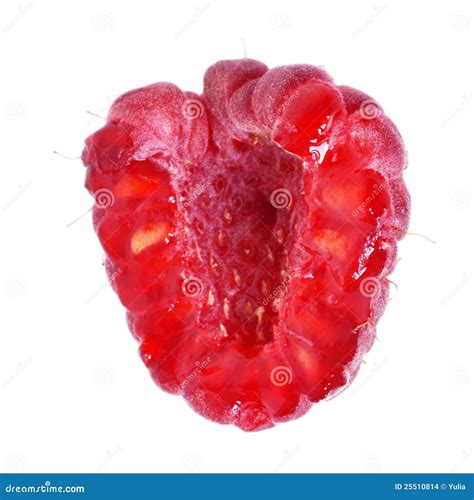 Half Of Red Raspberry Stock Photo Image Of Berry Detail