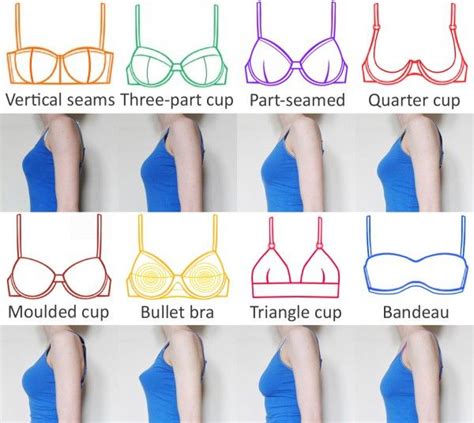 Bra Cup Size Comparison Pictures Ibikini Cyou