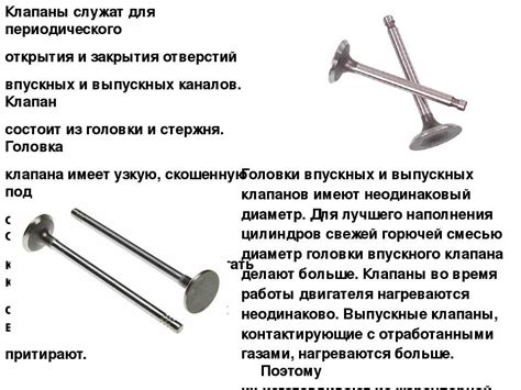 Отличие впускного клапана от выпускного