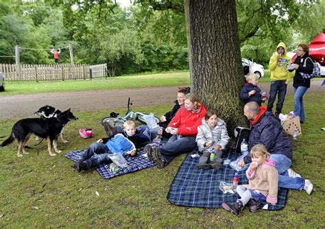 Elijah's Life Experiences: Picnic in the Park - a family outing | Primary Two Essay (for 8 year ...