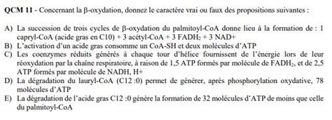 Beta Oxydation UE1 Biochimie Tutorat Associatif Toulousain